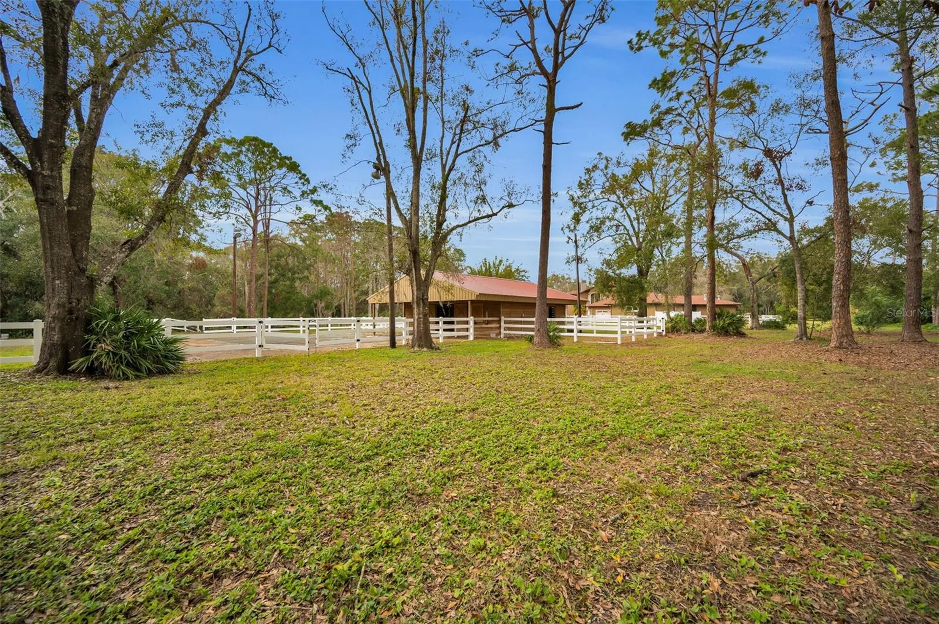 249 Dogwood Trace Tarpon Springs FL 34688