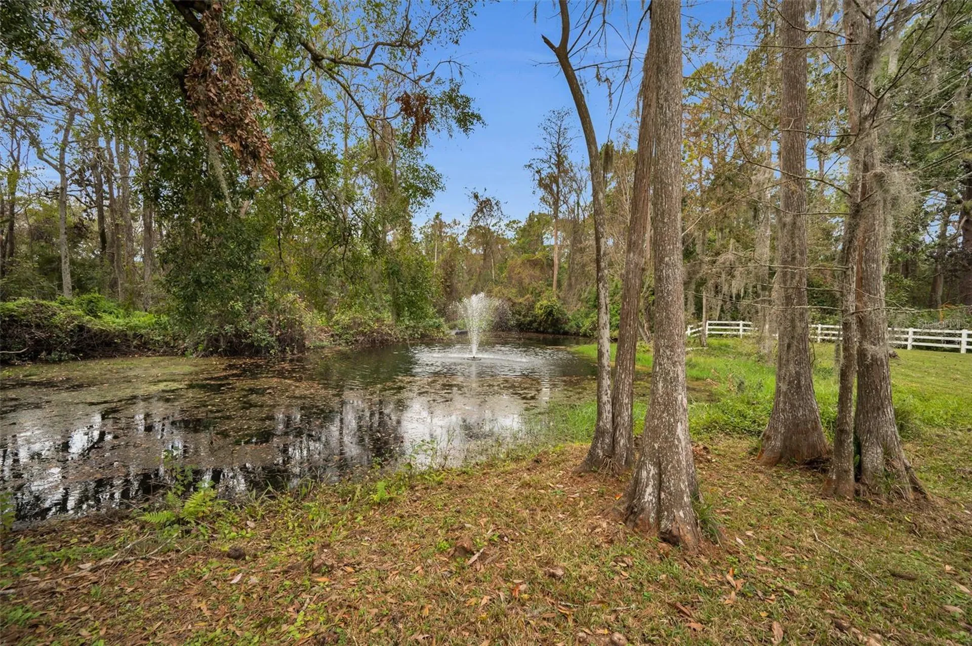 249 Dogwood Trace Tarpon Springs FL 34688