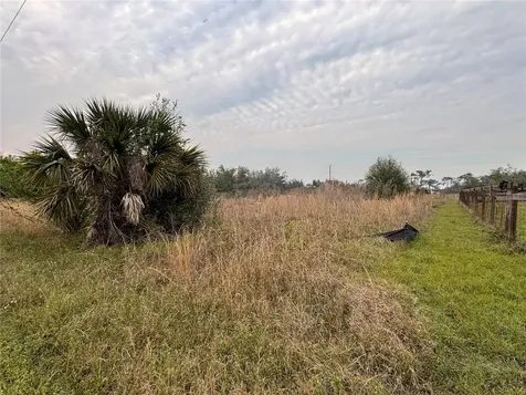 31083 Peace Street Punta Gorda FL 33982