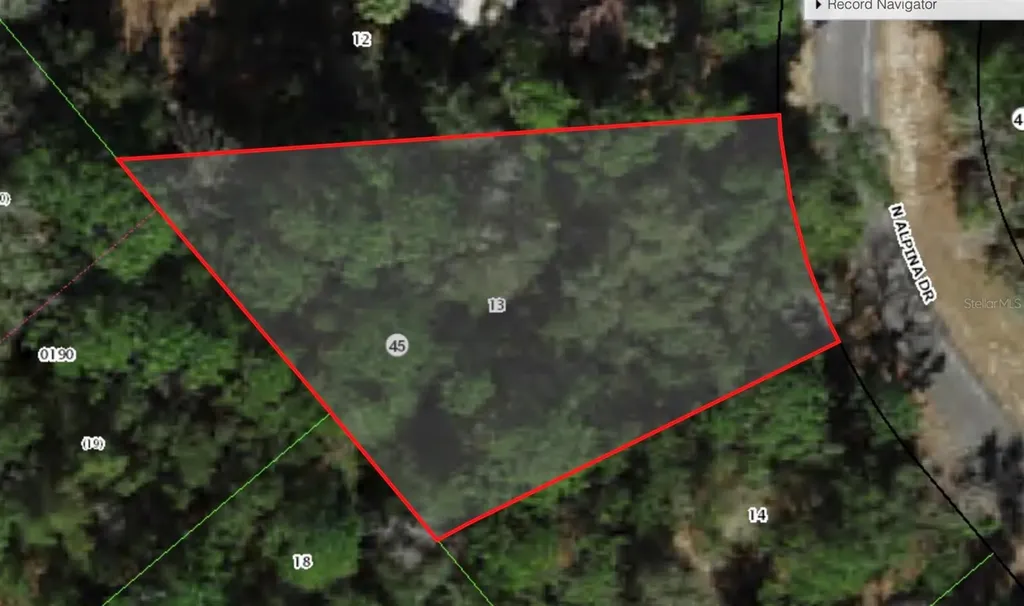 9200 N Alpinia Drive Citrus Springs FL 34434