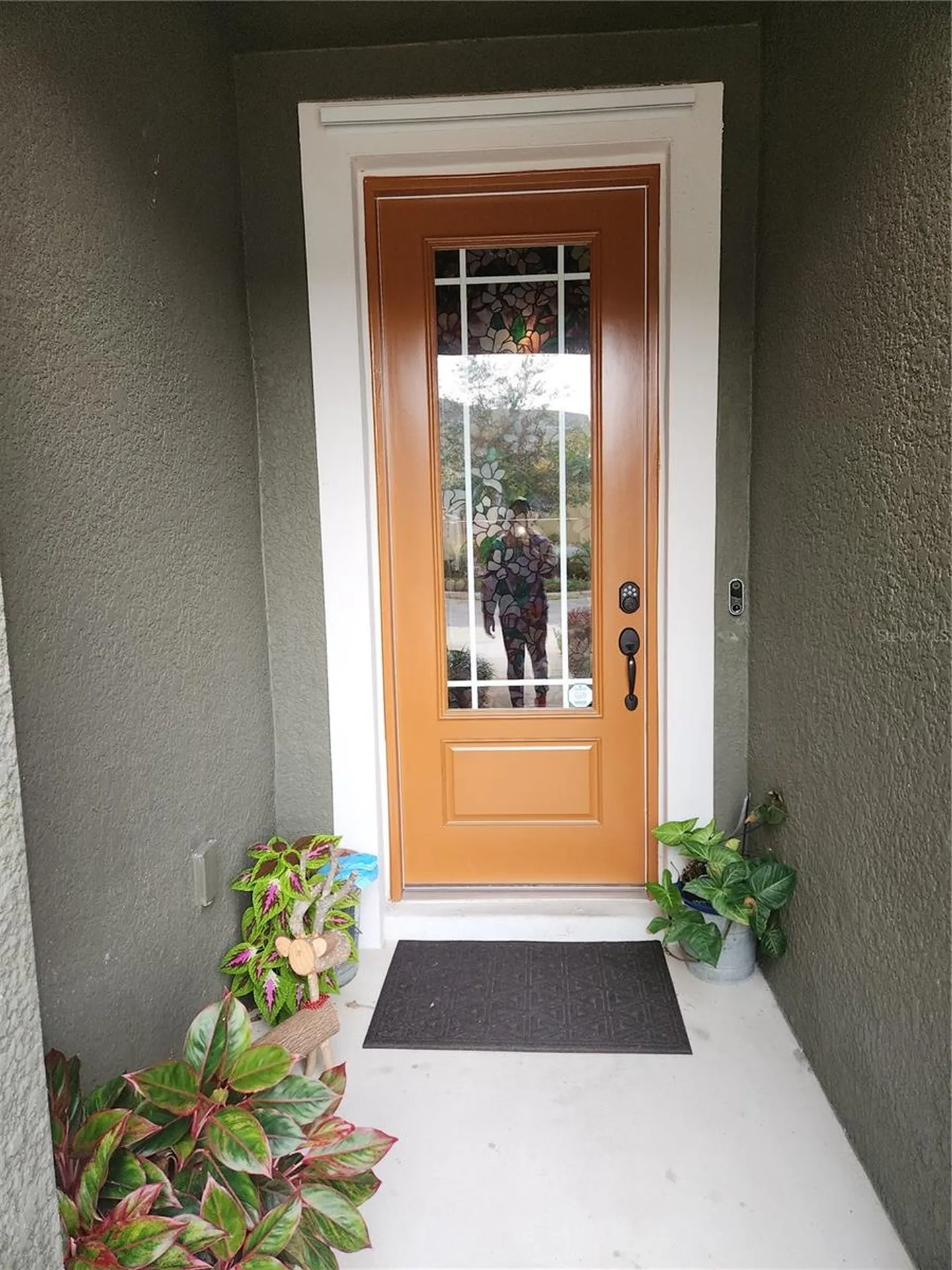 5508 Viola Lee Way Lutz FL 33558