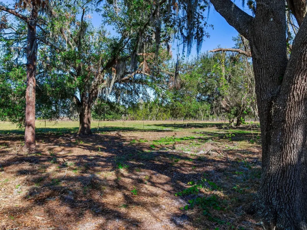 11312 Colding Road Wimauma FL 33598