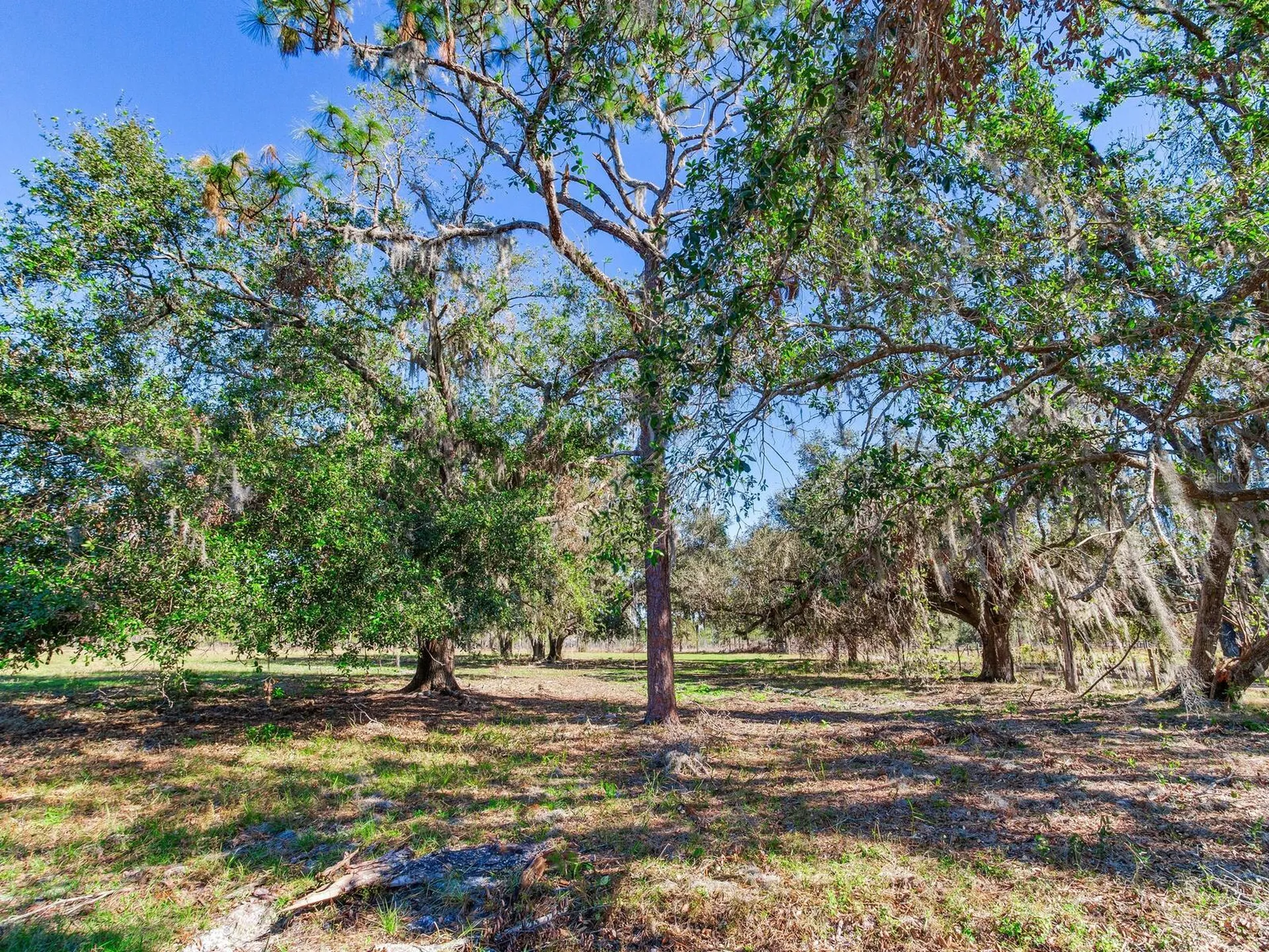 11312 Colding Road Wimauma FL 33598
