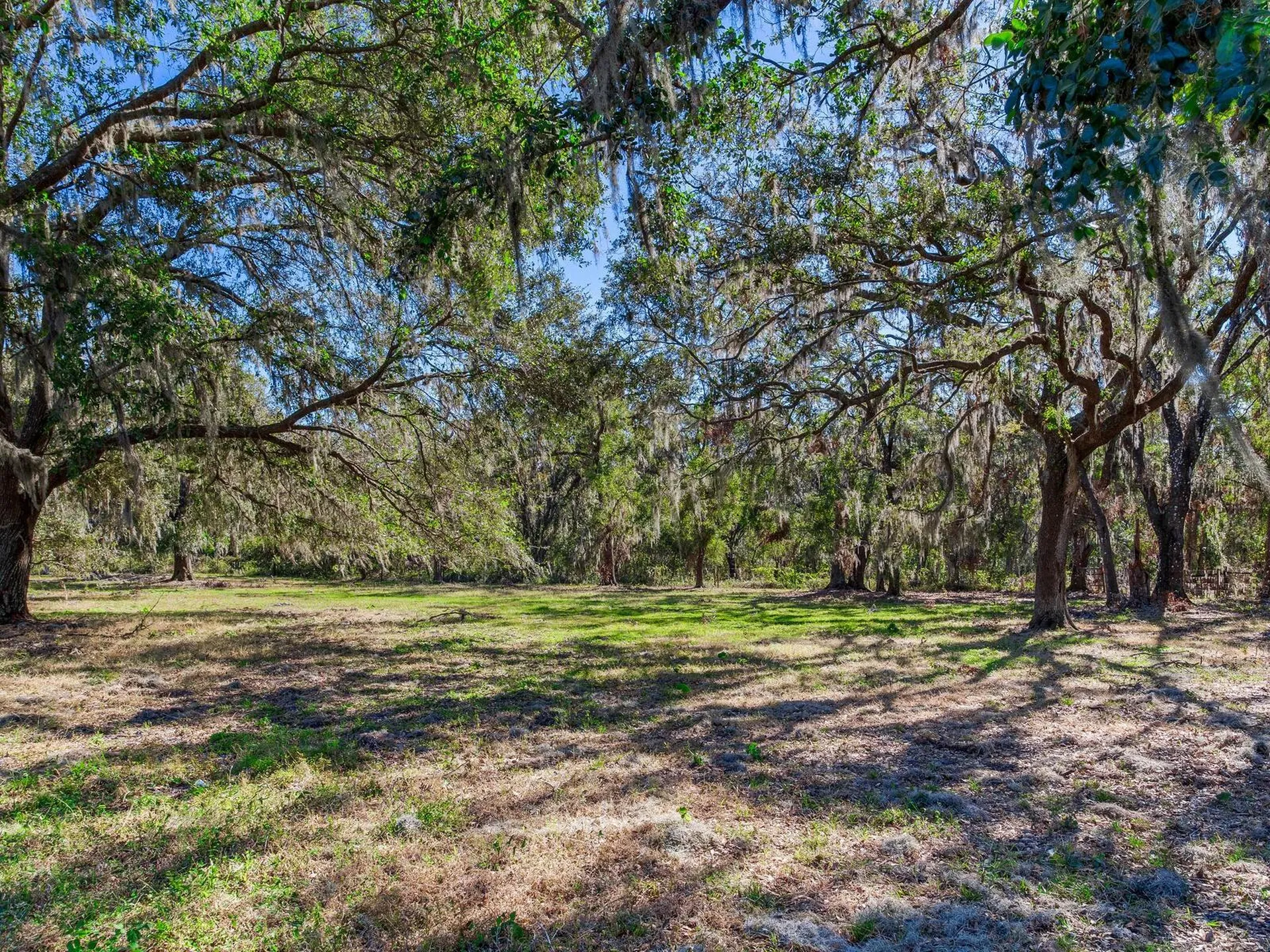 11312 Colding Road Wimauma FL 33598