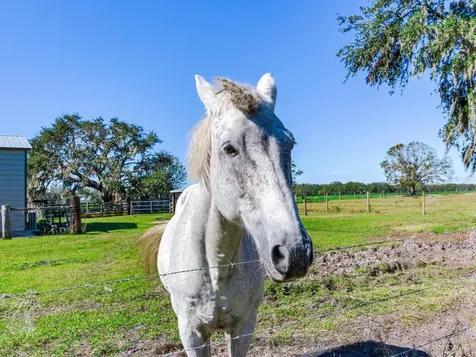 11312 Colding Road Wimauma FL 33598