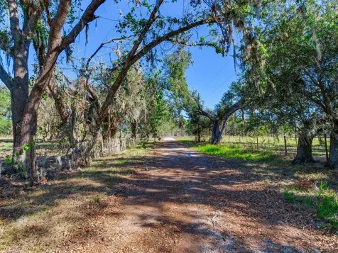 11312 Colding Road Wimauma FL 33598