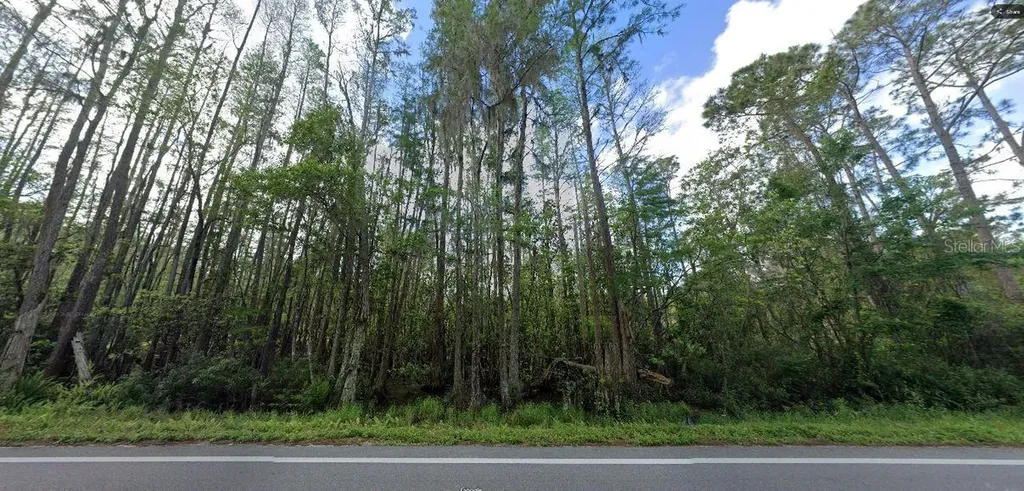 Deen Still Road Polk City FL 33868