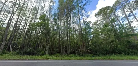 Deen Still Road Polk City FL 33868