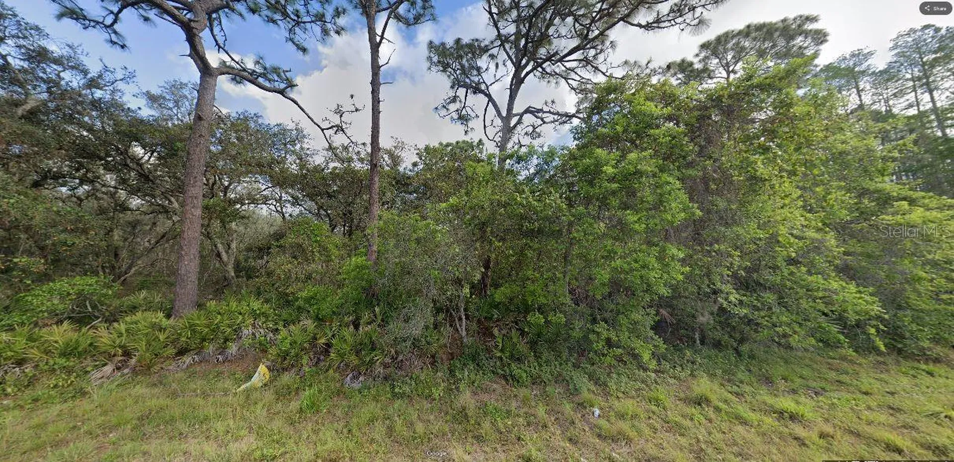 Deen Still Road Polk City FL 33868
