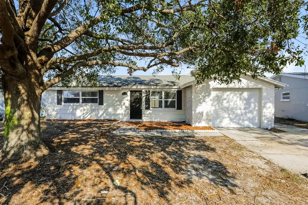 1172 Fernwood Drive Holiday FL 34690