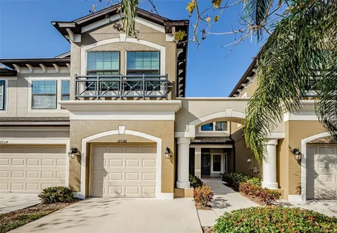 11536 Crowned Sparrow Lane Tampa FL 33626