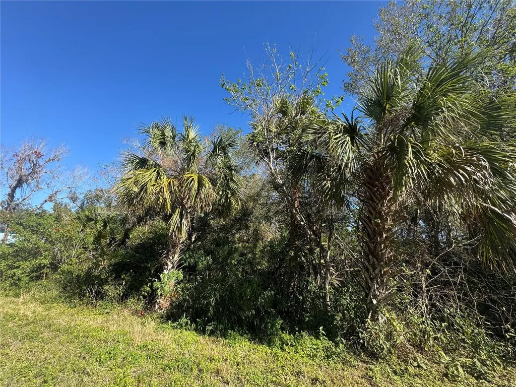 194 Ray Street Port Charlotte FL 33954