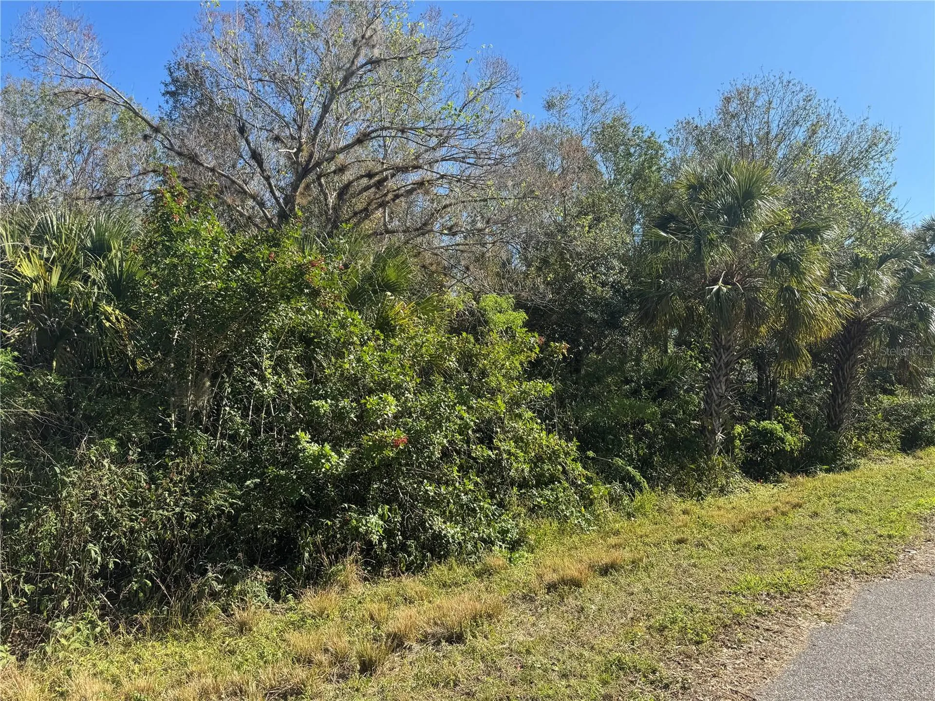 194 Ray Street Port Charlotte FL 33954