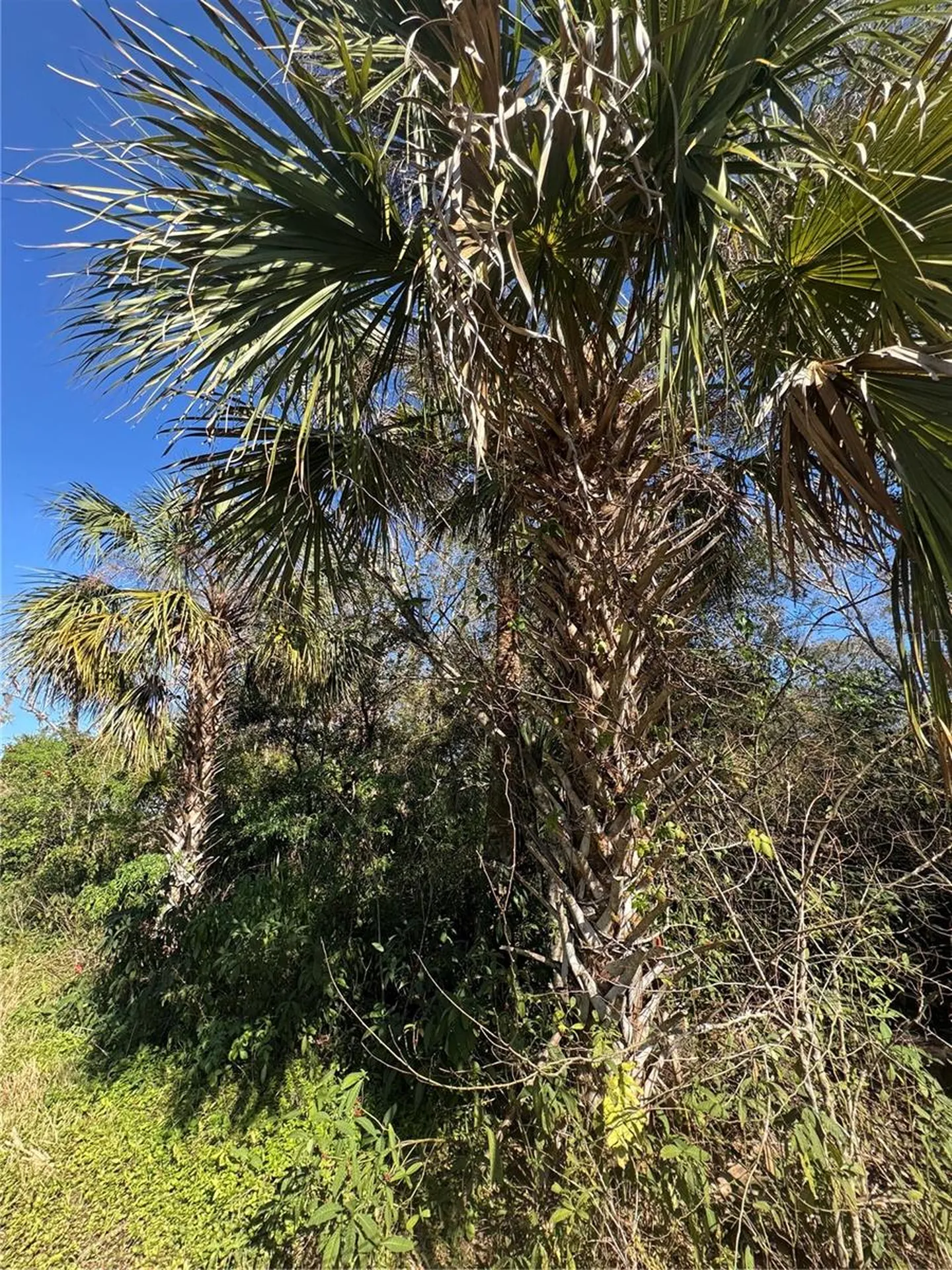 194 Ray Street Port Charlotte FL 33954