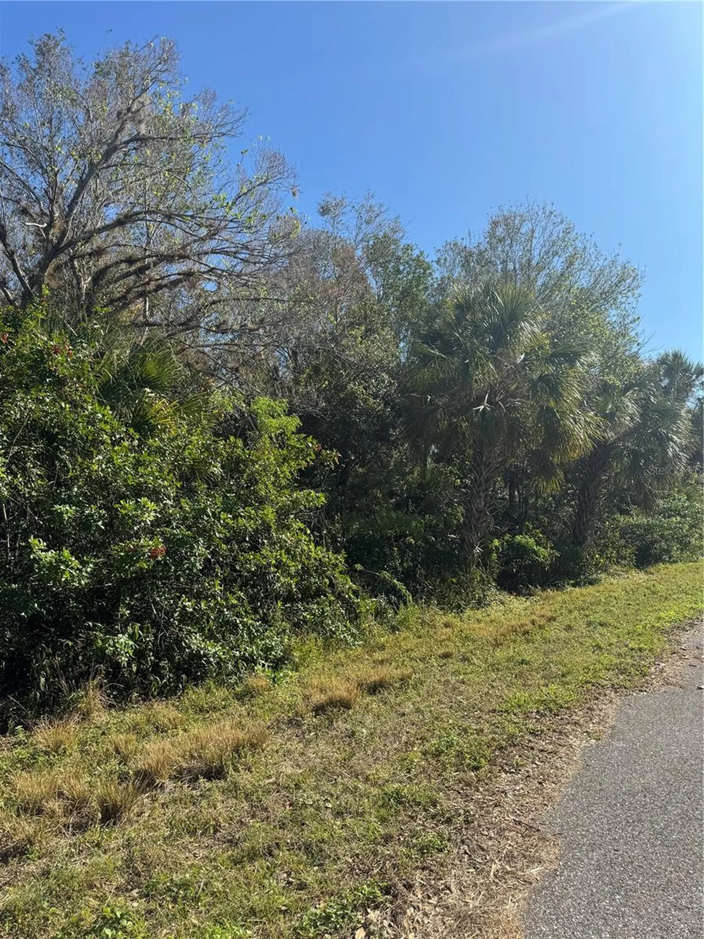 194 Ray Street Port Charlotte FL 33954