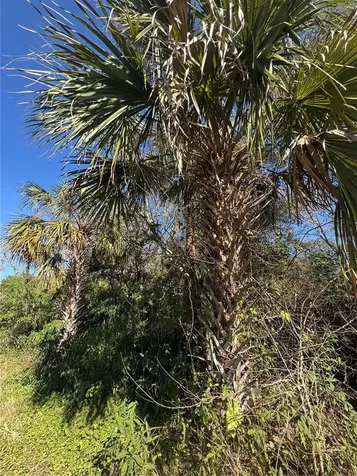 194 Ray Street Port Charlotte FL 33954