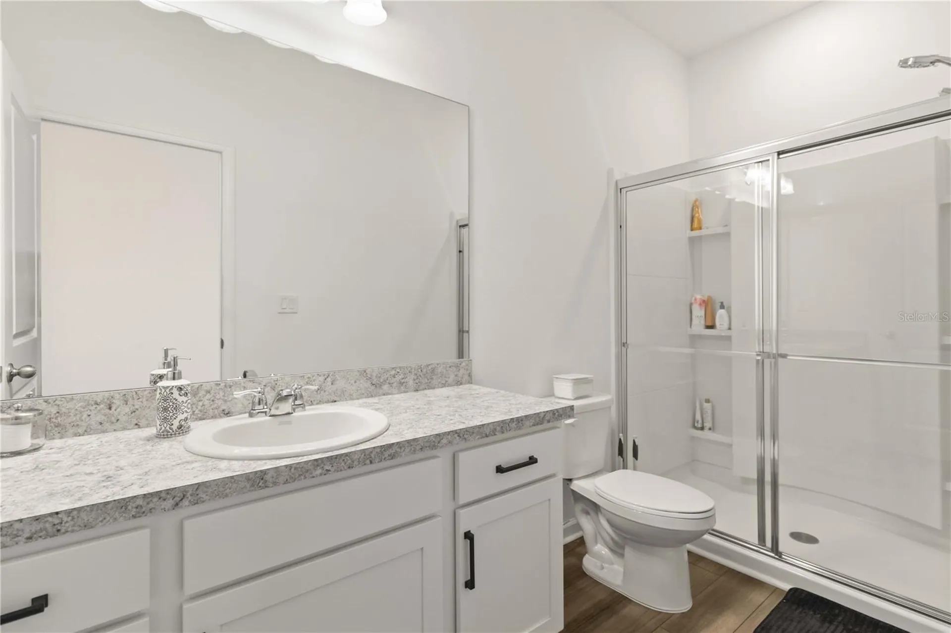 10435 Ladybug Cove Parrish FL 34219