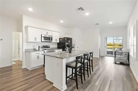 10435 Ladybug Cove Parrish FL 34219