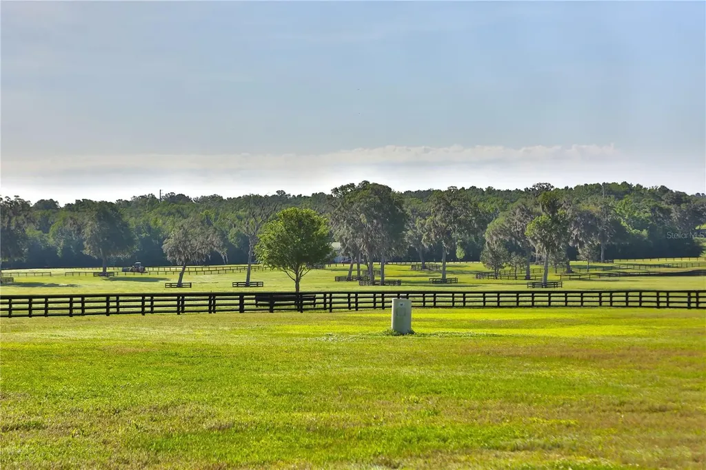 13375 W Highway 318 Williston FL 32696