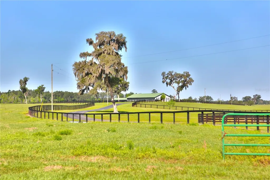 13375 W Highway 318 Williston FL 32696