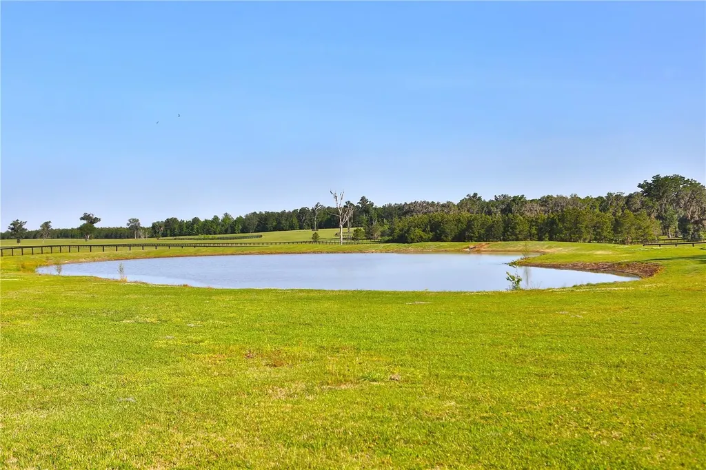 13375 W Highway 318 Williston FL 32696