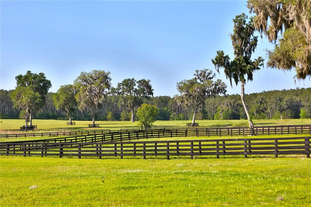13375 W Highway 318 Williston FL 32696