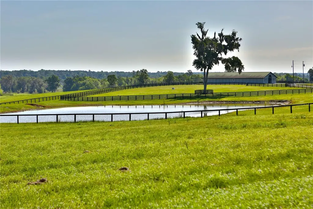 13375 W Highway 318 Williston FL 32696