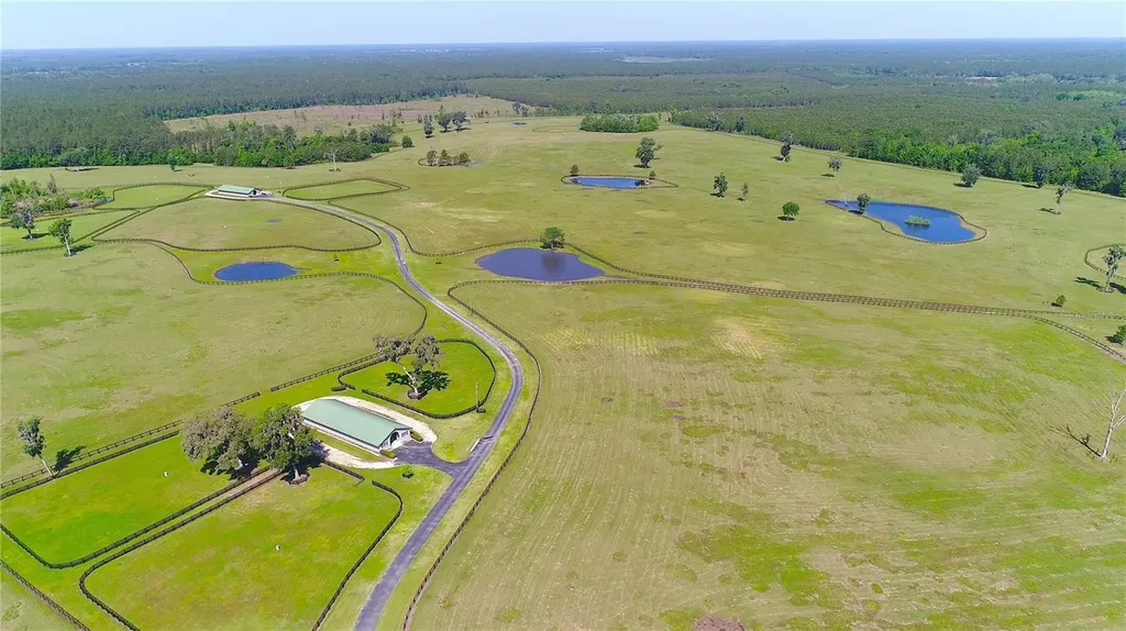 13375 W Highway 318 Williston FL 32696
