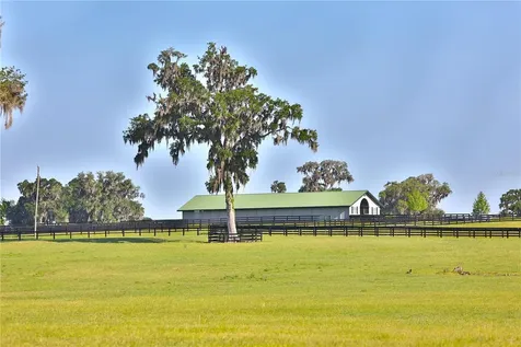 13375 W Highway 318 Williston FL 32696