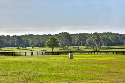 13375 W Highway 318 Williston FL 32696