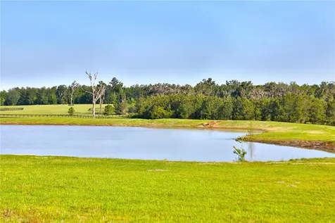 13375 W Highway 318 Williston FL 32696