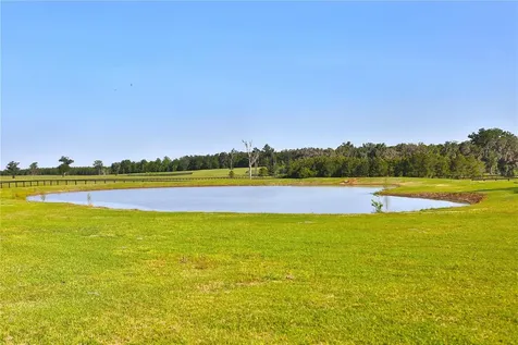 13375 W Highway 318 Williston FL 32696