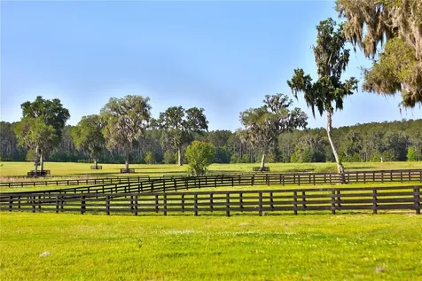 13375 W Highway 318 Williston FL 32696