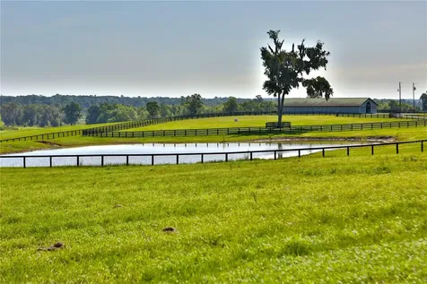13375 W Highway 318 Williston FL 32696