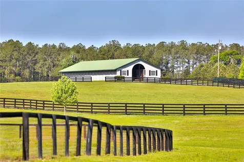 13375 W Highway 318 Williston FL 32696