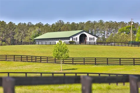 13375 W Highway 318 Williston FL 32696