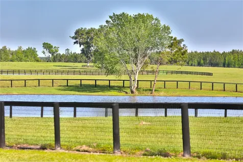 13375 W Highway 318 Williston FL 32696