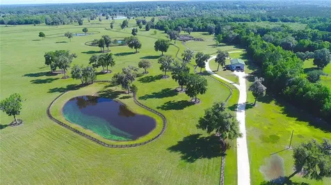 13375 W Highway 318 Williston FL 32696