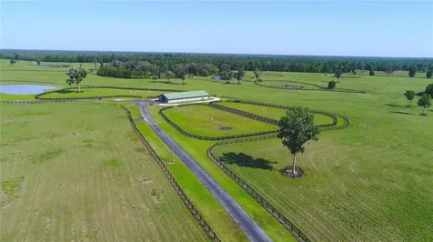13375 W Highway 318 Williston FL 32696