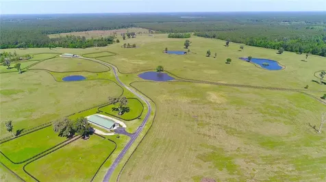 13375 W Highway 318 Williston FL 32696