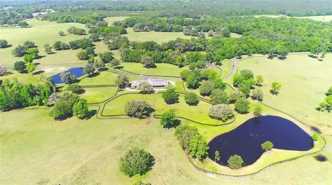 13375 W Highway 318 Williston FL 32696