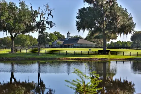 13375 W Highway 318 Williston FL 32696