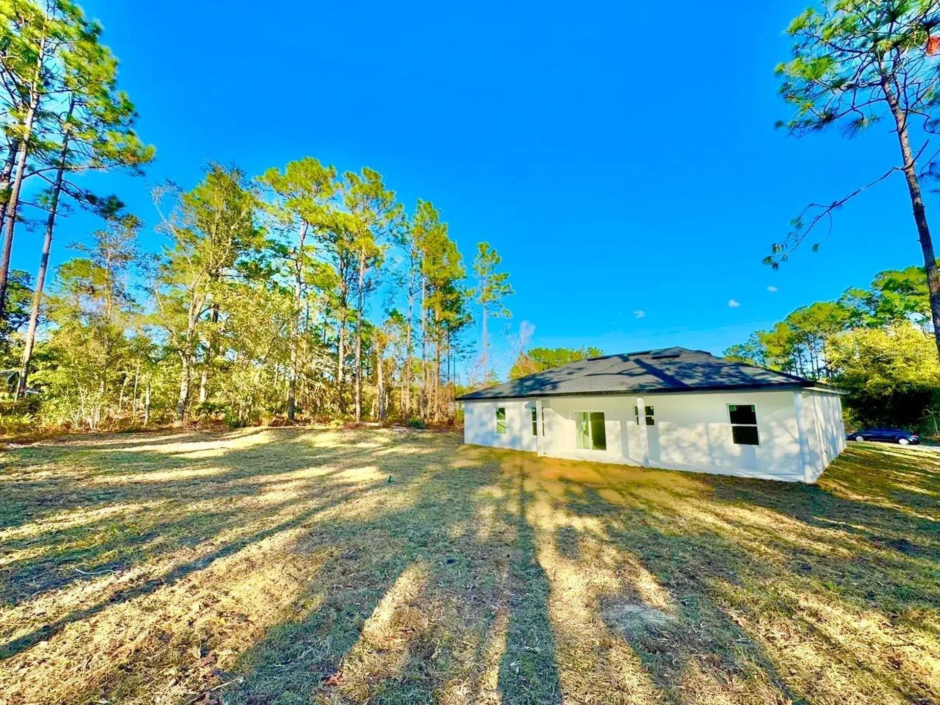 7168 N Deborah Terrace Citrus Springs FL 34434