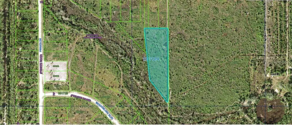 Althea Drive Indian Lake Estates FL 33855