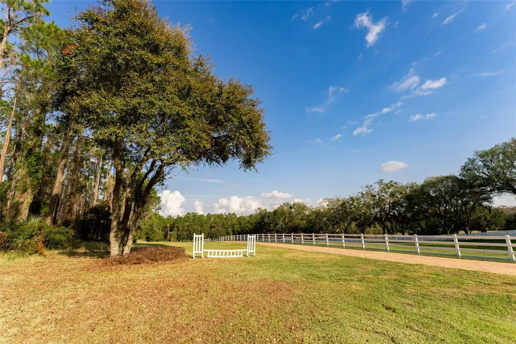 11148 Lane Park Road Tavares FL 32778