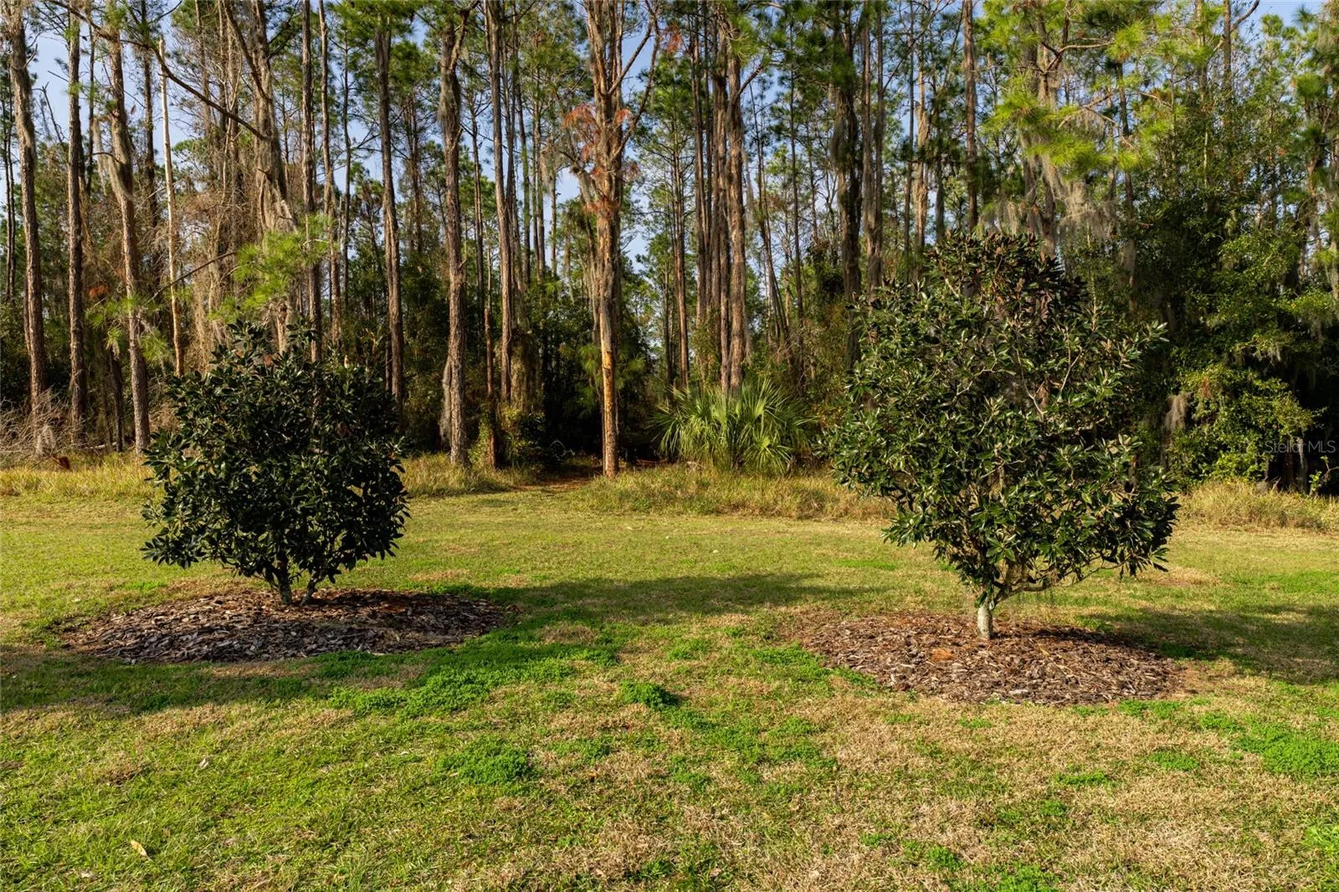 11148 Lane Park Road Tavares FL 32778