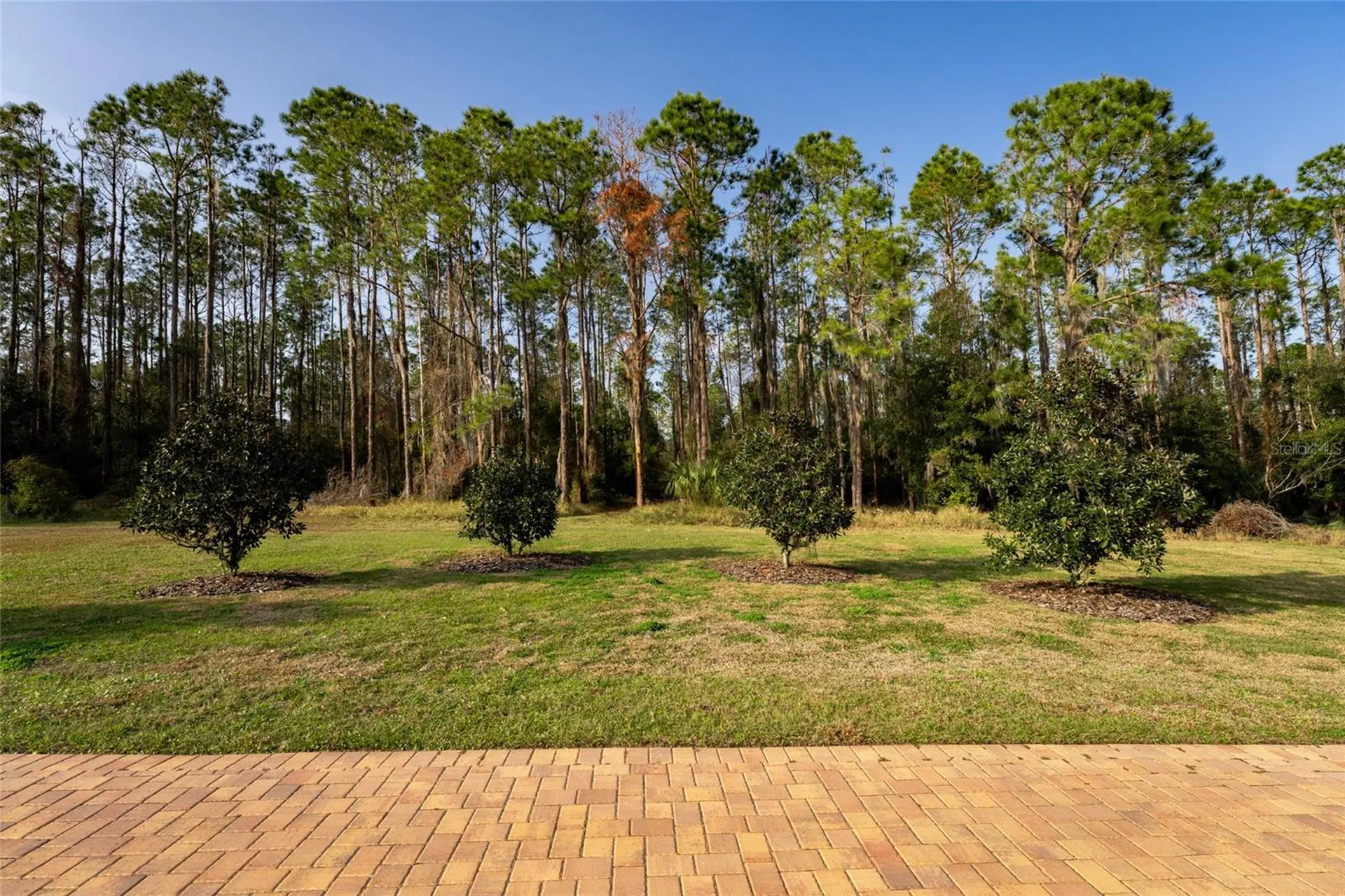 11148 Lane Park Road Tavares FL 32778