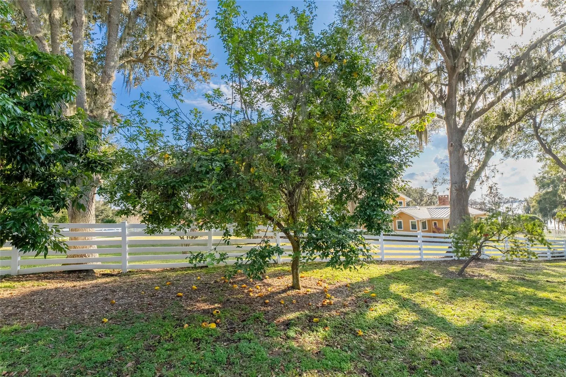 11148 Lane Park Road Tavares FL 32778