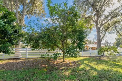 11148 Lane Park Road Tavares FL 32778
