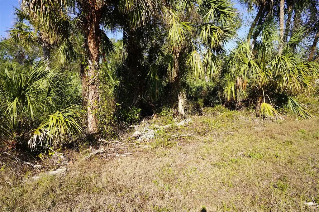 16150 Arcaro Avenue Port Charlotte FL 33954